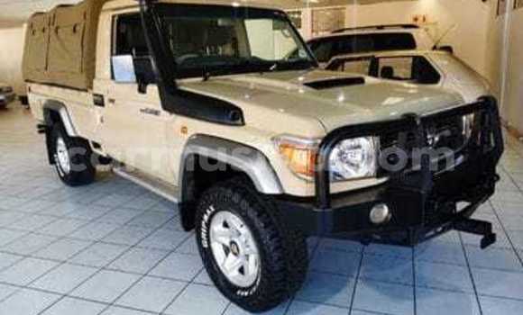 Tenga Tsaru Toyota Land Cruiser Zvimwe Mota in Beitbridge in Matabeleland South