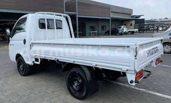 Nunua Ilio tumika Hyundai H200 Nyeupe Lori ndani ya Highfield nchini Harare Nunua Ilio tumika Hyundai H200 Nyeupe Lori ndani ya Highfield nchini Harare