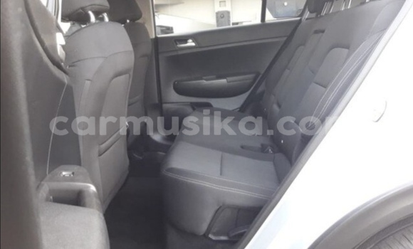 Tenga Tsaru Kia Sportage Sirivha Mota in Beitbridge in Matabeleland South Tenga Tsaru Kia Sportage Sirivha Mota in Beitbridge in Matabeleland South