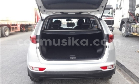 Tenga Tsaru Kia Sportage Sirivha Mota in Beitbridge in Matabeleland South Tenga Tsaru Kia Sportage Sirivha Mota in Beitbridge in Matabeleland South