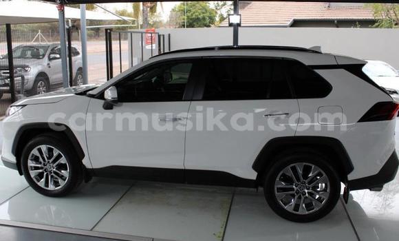 Tenga Tsaru Toyota RAV4 Chena Mota in Beitbridge in Matabeleland South Tenga Tsaru Toyota RAV4 Chena Mota in Beitbridge in Matabeleland South