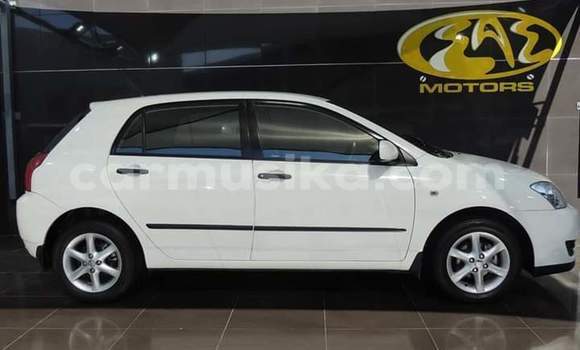 Tenga Tsaru Toyota Runx Chena Mota in Beitbridge in Matabeleland South Tenga Tsaru Toyota Runx Chena Mota in Beitbridge in Matabeleland South