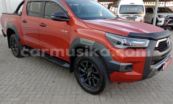 Nunua Ilio tumika Toyota Hilux Nyekundu Gari ndani ya Beitbridge nchini Matabeleland Kusini