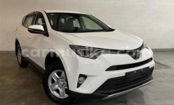 Buy Used Toyota RAV4 White Car in Beitbridge in Matabeleland South Buy Used Toyota RAV4 White Car in Beitbridge in Matabeleland South