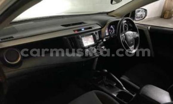 Tenga Tsaru Toyota RAV4 Chena Mota in Beitbridge in Matabeleland South Tenga Tsaru Toyota RAV4 Chena Mota in Beitbridge in Matabeleland South