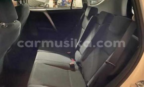 Tenga Tsaru Toyota RAV4 Chena Mota in Beitbridge in Matabeleland South Tenga Tsaru Toyota RAV4 Chena Mota in Beitbridge in Matabeleland South