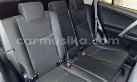 Tenga Tsaru Toyota RAV4 Chena Mota in Beitbridge in Matabeleland South Tenga Tsaru Toyota RAV4 Chena Mota in Beitbridge in Matabeleland South