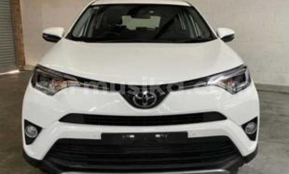 Tenga Tsaru Toyota RAV4 Chena Mota in Beitbridge in Matabeleland South Tenga Tsaru Toyota RAV4 Chena Mota in Beitbridge in Matabeleland South