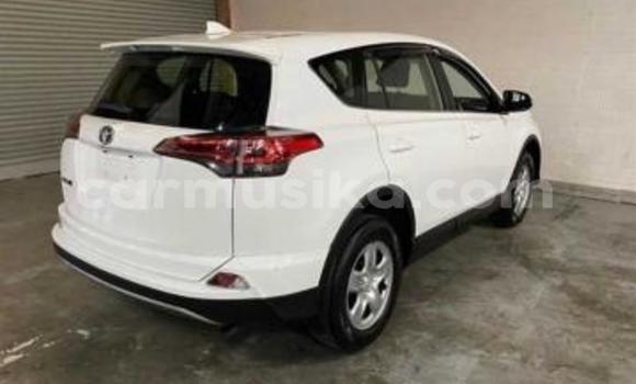 Tenga Tsaru Toyota RAV4 Chena Mota in Beitbridge in Matabeleland South Tenga Tsaru Toyota RAV4 Chena Mota in Beitbridge in Matabeleland South