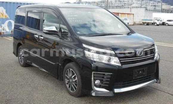 Tenga Tsaru Toyota Succeed Nhema Mota in Beitbridge in Matabeleland South