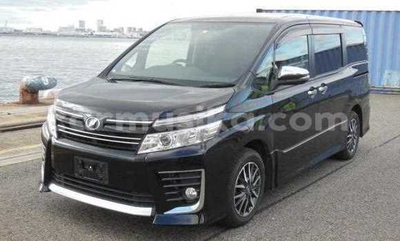 Tenga Tsaru Toyota Succeed Nhema Mota in Beitbridge in Matabeleland South Tenga Tsaru Toyota Succeed Nhema Mota in Beitbridge in Matabeleland South