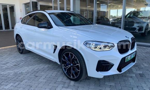 Buy Used BMW X6 White Car in Beitbridge in Matabeleland South Buy Used BMW X6 White Car in Beitbridge in Matabeleland South