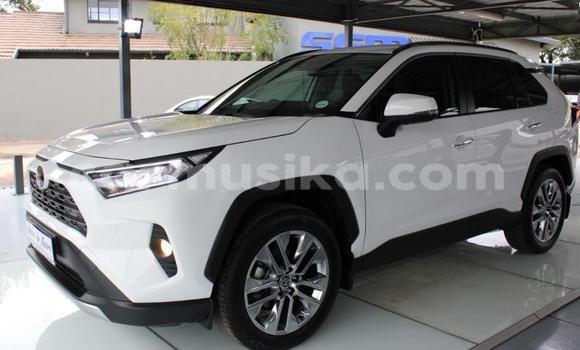 Tenga Tsaru Toyota RAV4 Chena Mota in Beitbridge in Matabeleland South