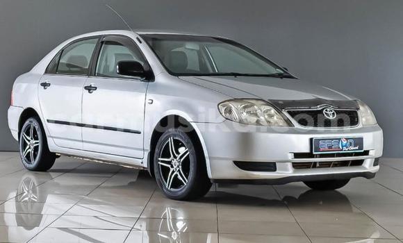 Tenga Tsaru Toyota Corolla Chena Mota in Beitbridge in Matabeleland South Tenga Tsaru Toyota Corolla Chena Mota in Beitbridge in Matabeleland South