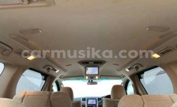 Buy Used Toyota Alphard Black Car in Beitbridge in Matabeleland South Buy Used Toyota Alphard Black Car in Beitbridge in Matabeleland South