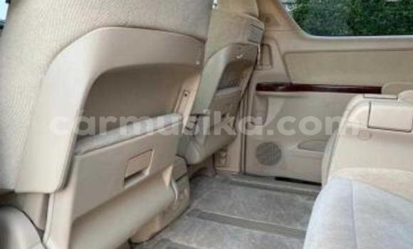 Buy Used Toyota Alphard Black Car in Beitbridge in Matabeleland South Buy Used Toyota Alphard Black Car in Beitbridge in Matabeleland South