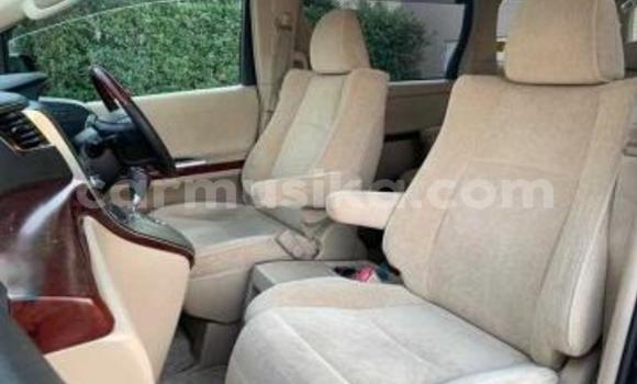 Buy Used Toyota Alphard Black Car in Beitbridge in Matabeleland South Buy Used Toyota Alphard Black Car in Beitbridge in Matabeleland South
