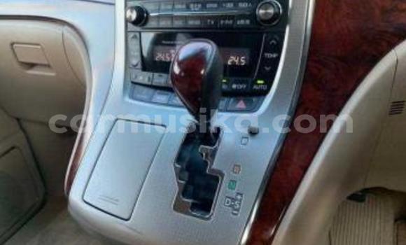 Buy Used Toyota Alphard Black Car in Beitbridge in Matabeleland South Buy Used Toyota Alphard Black Car in Beitbridge in Matabeleland South