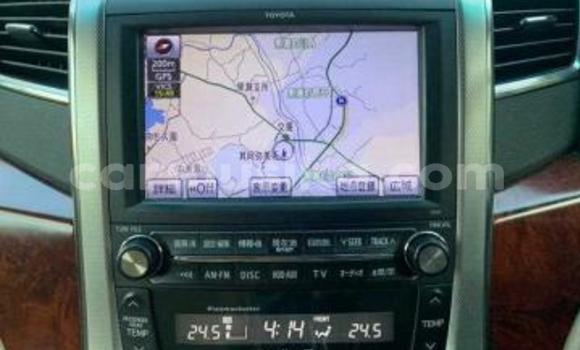 Buy Used Toyota Alphard Black Car in Beitbridge in Matabeleland South Buy Used Toyota Alphard Black Car in Beitbridge in Matabeleland South