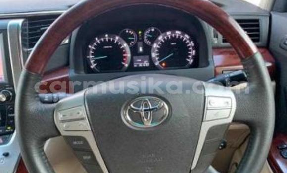 Buy Used Toyota Alphard Black Car in Beitbridge in Matabeleland South Buy Used Toyota Alphard Black Car in Beitbridge in Matabeleland South