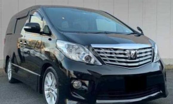 Buy Used Toyota Alphard Black Car in Beitbridge in Matabeleland South Buy Used Toyota Alphard Black Car in Beitbridge in Matabeleland South