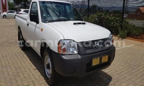 Acheter Occasion Voiture Nissan NP 300 Blanc à Beitbridge, Matabeleland South