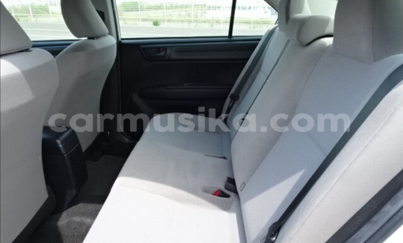 Tenga Tsaru Toyota Axio Chena Mota in Beitbridge in Matabeleland South Tenga Tsaru Toyota Axio Chena Mota in Beitbridge in Matabeleland South