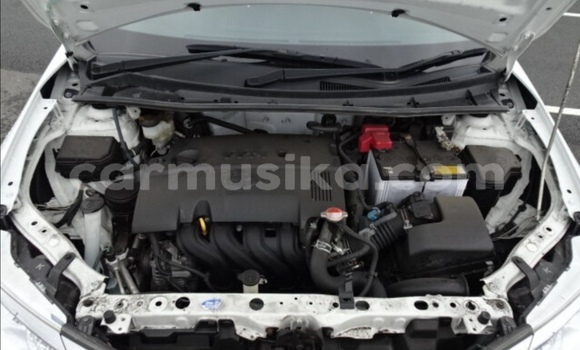 Tenga Tsaru Toyota Axio Chena Mota in Beitbridge in Matabeleland South Tenga Tsaru Toyota Axio Chena Mota in Beitbridge in Matabeleland South