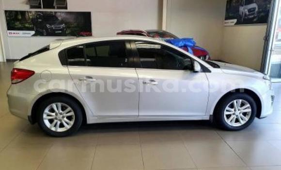 Tenga Tsaru Chevrolet Cruze Sirivha Mota in Beitbridge in Matabeleland South Tenga Tsaru Chevrolet Cruze Sirivha Mota in Beitbridge in Matabeleland South