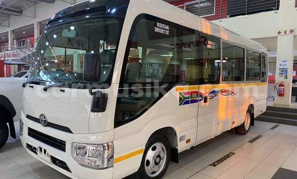 Buy Used Toyota Coaster White Car in Beitbridge in Matabeleland South