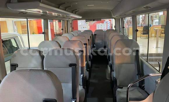 Acheter Occasion Voiture Toyota Coaster Blanc à Beitbridge, Matabeleland South Acheter Occasion Voiture Toyota Coaster Blanc à Beitbridge, Matabeleland South