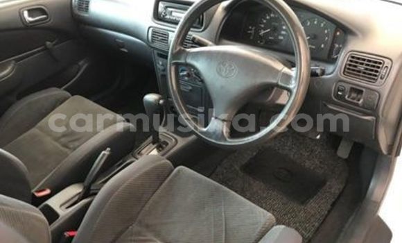 Buy Used Toyota Corolla White Car in Beitbridge in Matabeleland South Buy Used Toyota Corolla White Car in Beitbridge in Matabeleland South