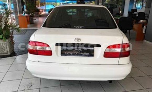 Buy Used Toyota Corolla White Car in Beitbridge in Matabeleland South Buy Used Toyota Corolla White Car in Beitbridge in Matabeleland South