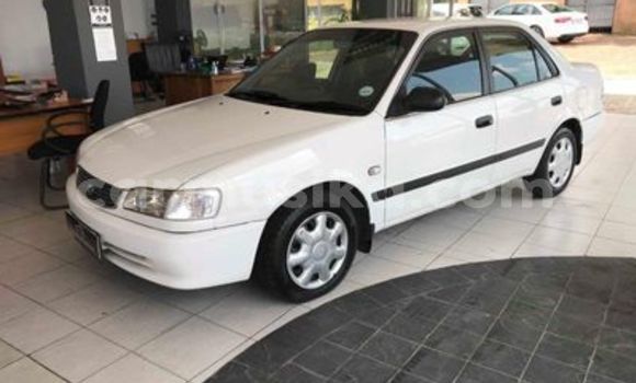 Buy Used Toyota Corolla White Car in Beitbridge in Matabeleland South Buy Used Toyota Corolla White Car in Beitbridge in Matabeleland South