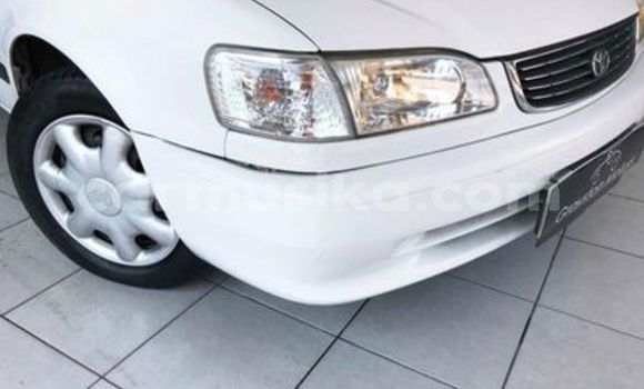 Buy Used Toyota Corolla White Car in Beitbridge in Matabeleland South Buy Used Toyota Corolla White Car in Beitbridge in Matabeleland South
