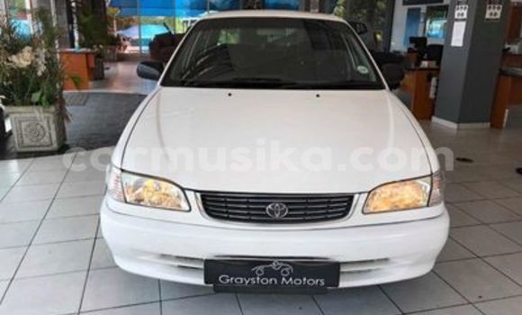 Buy Used Toyota Corolla White Car in Beitbridge in Matabeleland South Buy Used Toyota Corolla White Car in Beitbridge in Matabeleland South