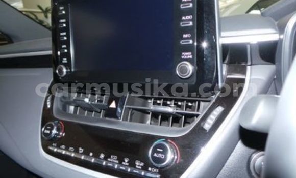 Buy Used Toyota Corolla White Car in Beitbridge in Matabeleland South Buy Used Toyota Corolla White Car in Beitbridge in Matabeleland South