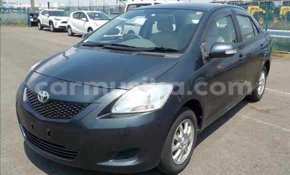 Buy Used Toyota Belta Other Car in Beitbridge in Matabeleland South