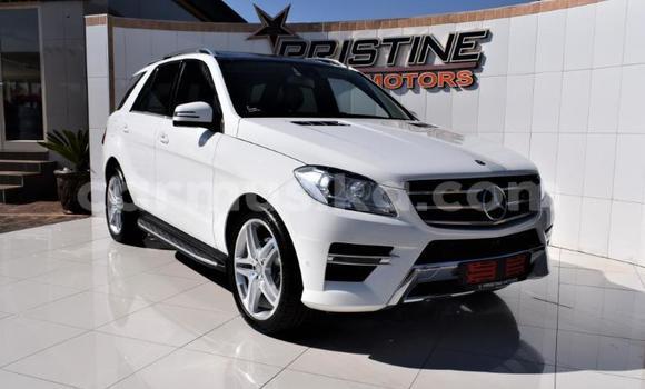 Buy Used Mercedes‒Benz AMG GLE White Car in Beitbridge in Matabeleland South Buy Used Mercedes‒Benz AMG GLE White Car in Beitbridge in Matabeleland South