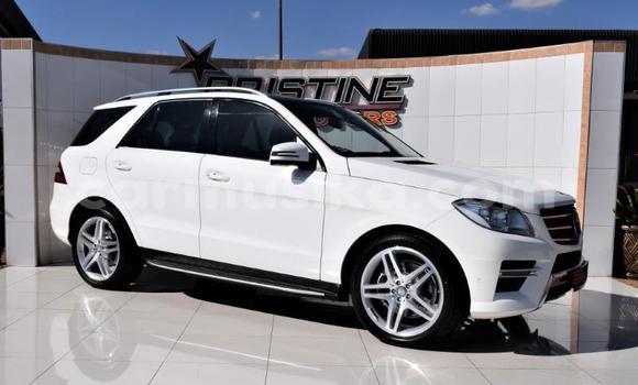 Buy Used Mercedes‒Benz AMG GLE White Car in Beitbridge in Matabeleland South Buy Used Mercedes‒Benz AMG GLE White Car in Beitbridge in Matabeleland South