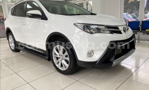 Tenga Tsaru Toyota RAV4 Chena Mota in Beitbridge in Matabeleland South