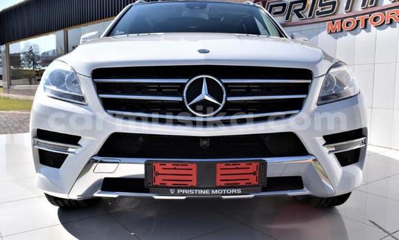 Buy Used Mercedes‒Benz AMG GLE White Car in Beitbridge in Matabeleland South Buy Used Mercedes‒Benz AMG GLE White Car in Beitbridge in Matabeleland South