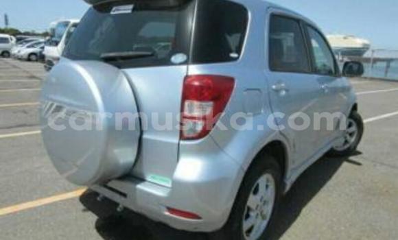 Tenga Tsaru Toyota Rush Sirivha Mota in Beitbridge in Matabeleland South Tenga Tsaru Toyota Rush Sirivha Mota in Beitbridge in Matabeleland South