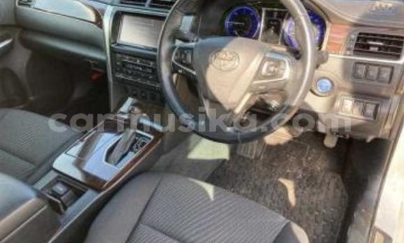 Tenga Tsaru Toyota Camry Chena Mota in Beitbridge in Matabeleland South Tenga Tsaru Toyota Camry Chena Mota in Beitbridge in Matabeleland South