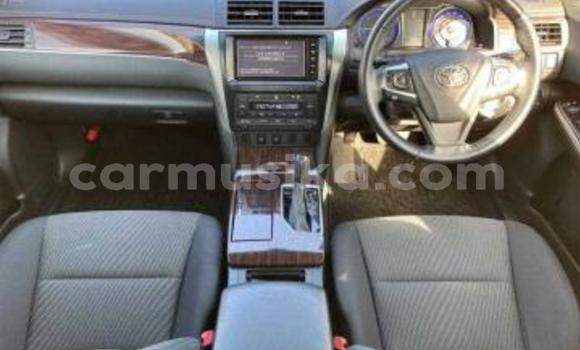 Tenga Tsaru Toyota Camry Chena Mota in Beitbridge in Matabeleland South Tenga Tsaru Toyota Camry Chena Mota in Beitbridge in Matabeleland South