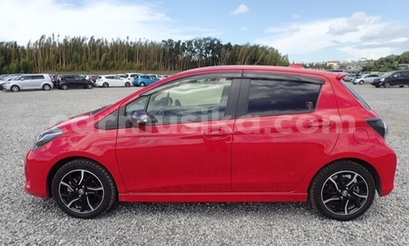 Acheter Occasion Voiture Toyota Vitz Rouge à Beitbridge, Matabeleland South Acheter Occasion Voiture Toyota Vitz Rouge à Beitbridge, Matabeleland South