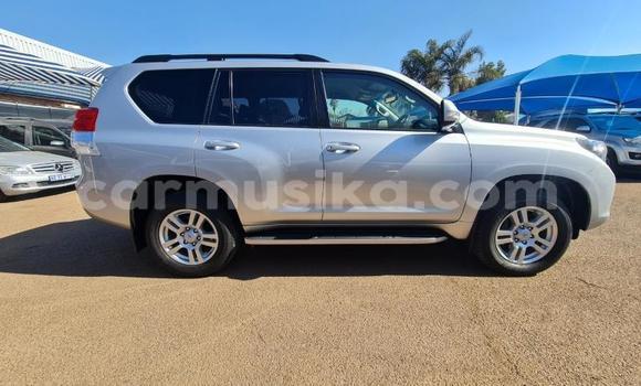 Tenga Tsaru Toyota Land Cruiser Chena Mota in Beitbridge in Matabeleland South Tenga Tsaru Toyota Land Cruiser Chena Mota in Beitbridge in Matabeleland South