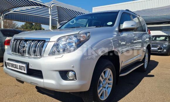 Tenga Tsaru Toyota Land Cruiser Chena Mota in Beitbridge in Matabeleland South Tenga Tsaru Toyota Land Cruiser Chena Mota in Beitbridge in Matabeleland South