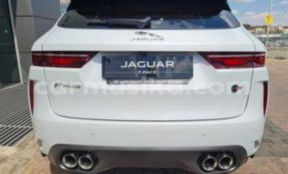 Buy Used Jaguar F-Type SVR White Car in Beitbridge in Matabeleland South Buy Used Jaguar F-Type SVR White Car in Beitbridge in Matabeleland South