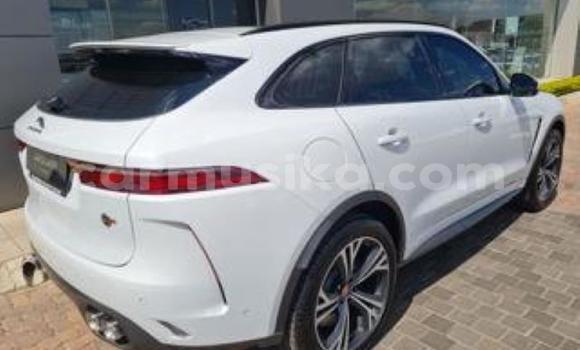 Buy Used Jaguar F-Type SVR White Car in Beitbridge in Matabeleland South Buy Used Jaguar F-Type SVR White Car in Beitbridge in Matabeleland South